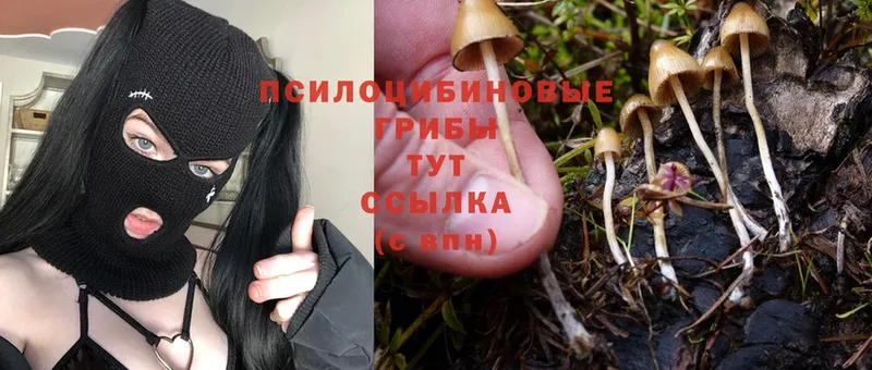 мега ТОР  наркошоп  Добрянка  Галлюциногенные грибы Magic Shrooms 